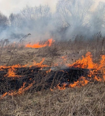 На Волині за тиждень ліквідували 21 пожежу