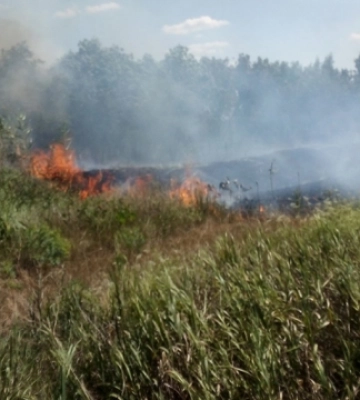 На Львівщині вогнеборці ліквідували 11 пожеж сухостою