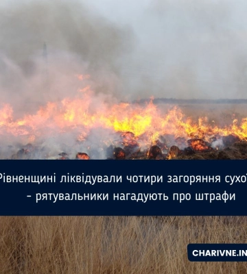 На Рівненщині ліквідували чотири загоряння сухої трави - рятувальники нагадують про штрафи