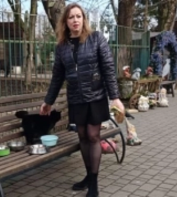 На території Луцького зоопарку поруч із дикими звірами мешкають 50 котів