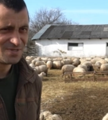 Вівчар з Мукачева продовжує дідівські традиції
