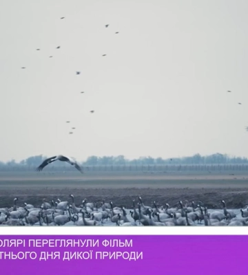 Ужгородські школярі переглянули фільм із нагоди Всесвітнього дня дикої природи (відео)