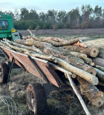 Незаконна вирубка лісу та бурштин. На Рівненщині поліція продовжує боротьбу зі злочинами у сфері довкілля
