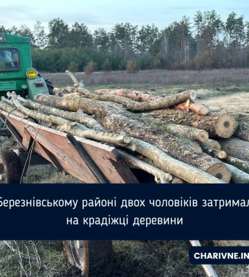 У Березнівському районі двох чоловіків затримали на крадіжці деревини