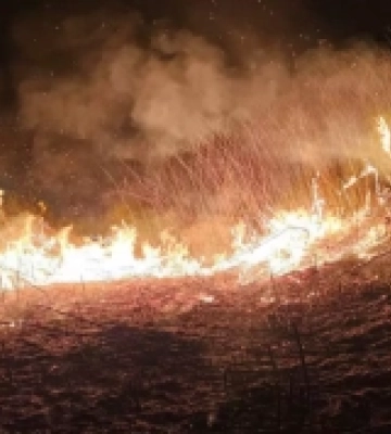 На Тячівщині за добу згоріло майже чотири гектари сухої трави