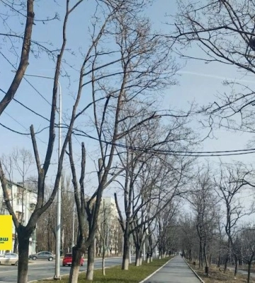 З порту Маріуполя зафіксували роботу ворожої ППО - Андрющенко