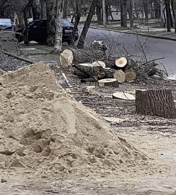 У Миколаєві скаржаться на вирубку здорових дерев через будівництво СТО та автомийки