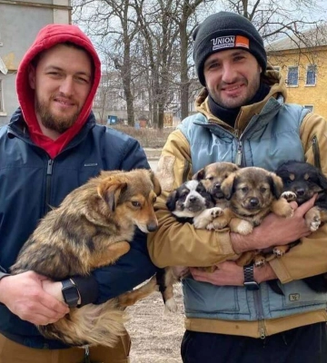 Волонтери з Дніпра рятували понад 20 котів та собак, організувавши «пухнасту» евакуацію на Донеччині