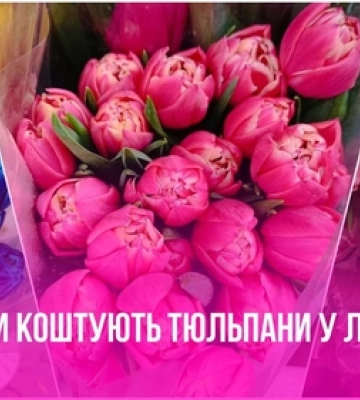 Квітковий бум: скільки коштують тюльпани в Луцьку