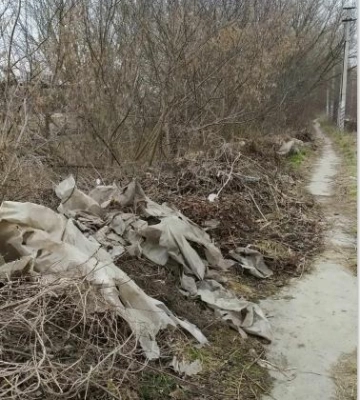 Від Рівненської міськради вимагають ліквідувати стихійне сміттєзвалище