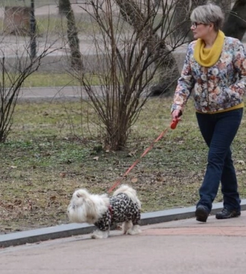У Львові триває безкоштовна вакцинація тварин від сказу