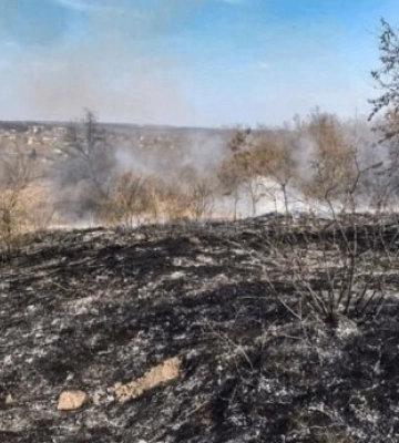 Знищено понад 9000 гектарів унікальних природних комплексів: на Донеччині намагаються врятувати від війни Національний природний&amp;hellip;