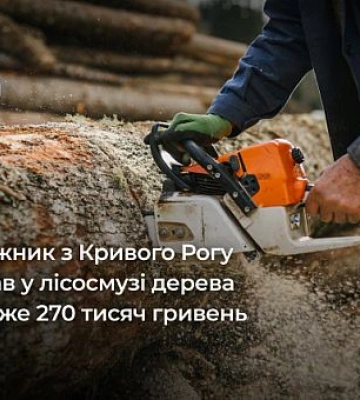 На Криворіжжі засудили монтажника, який вирубав у лісосмузі дерева на майже 270 тисяч гривень