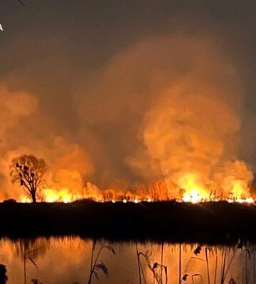 У Києві горить екопарк Осокорки 