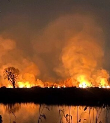 У Києві пожежа в екопарку Осокорки. ФОТОрепортаж