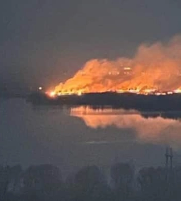 У Києві горить екопарк “Осокорки”. Активісти заявили про підпал