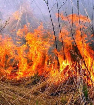 В Винницкой области в результате сжигания сухой травы погиб мужчина