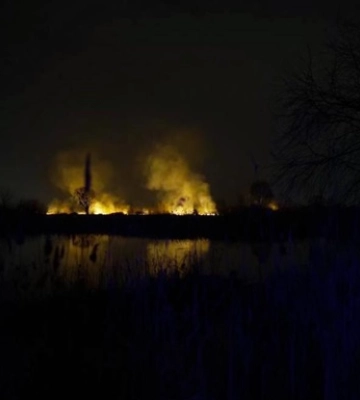 Пожежу в екопарку Осокорки ліквідовано. В КМВА зробили заяву
