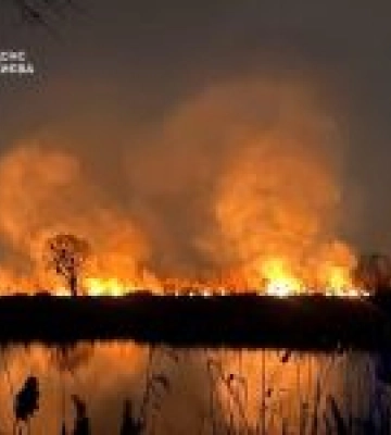 У Києві горів екопарк “Осокорки”