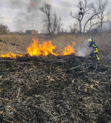 Дві пожежі на відкритій території сталися на Черкащині
