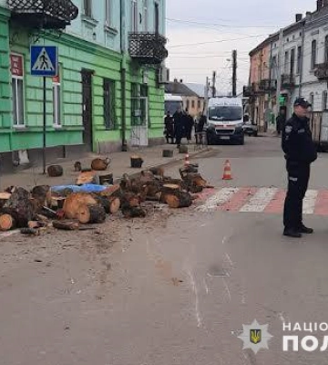 Їхав на причепі з дровами. На Львівщині загинув підліток