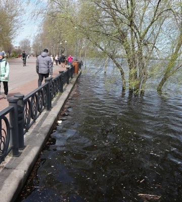 В Киевской области ночью работала ПВО