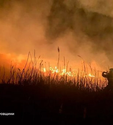 За добу на Дніпропетровщині згоріло 46 гектарів екосистеми