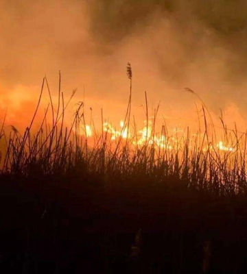 За добу на Дніпропетровщині згоріло 46 гектарів екосистеми
