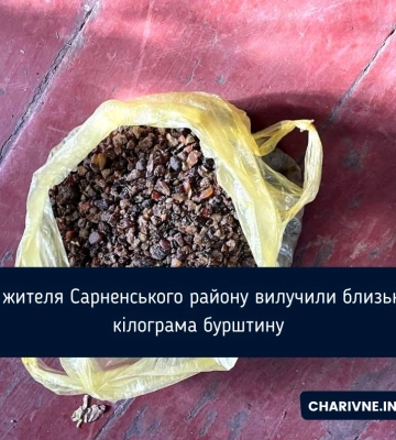 У жителя Сарненського району вилучили близько кілограма бурштину