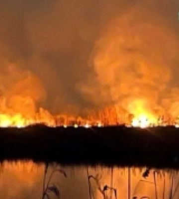 Поліція відкрила провадження через пожежу на території заказника в Києві