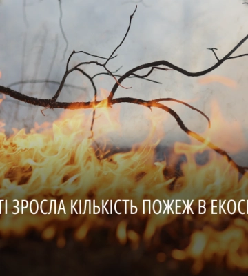 Понад 800 пожеж з початку року: на Дніпропетровщині почастішали випадки займань в екосистемах