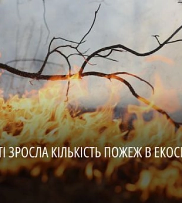 Від початку року в екосистемах Дніпропетровщини сталося понад 800 пожеж