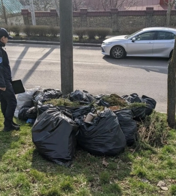 Мунварта у Рівному штрафуватиме за обрізане гілля