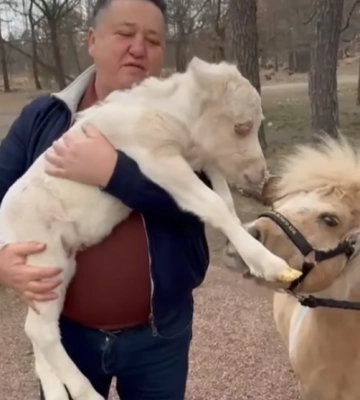 В Харківському екопарку — весняний бебі-бум (відео)