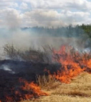 Цьогоріч на Рівненщині вже склали три адмінпротоколи за спалювання сухої трави