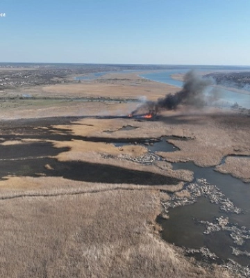 На Миколаївщині горів очерет площею п&#039;ять гектарів — ДСНС