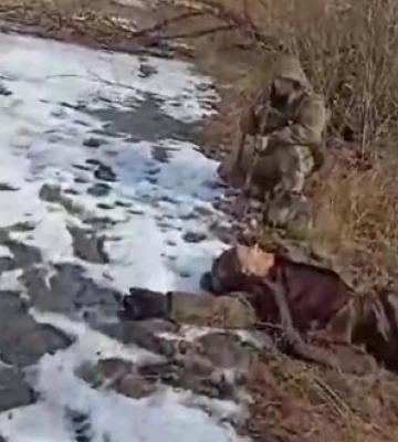 Прикордонники беруть у полон росіянина: "Підніми руки, ти в мене на прицілі, лягай на спину, лежи, не вздумай вставать". ВIДЕО
