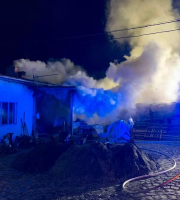 Близько 5 годин на Мукачівщині гасили пожежу на деревообробному підприємстві