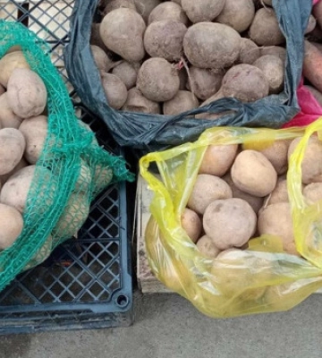 У Луцьку з&#039;явились електросамокати: де і скільки коштує 