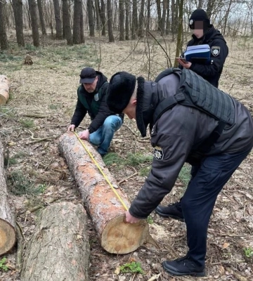 На Сумщині виявлено незаконний поруб дерев на території природно-заповідного об’єкту