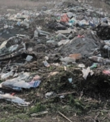 У Роздільнянському районі виявили сміттєзвалище
