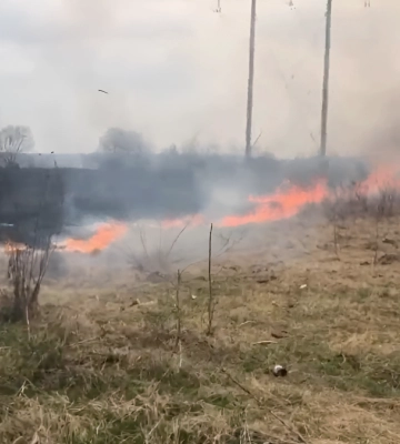 Притулок “Дім Сірка” в Івано-Франківську ледь не згорів: вогонь загрожував 170 тваринам