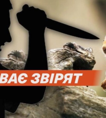 У Дніпрі чоловік вбив білку в міському парку