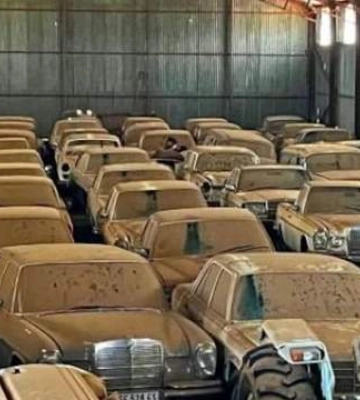 В Південній Африці знайшли покинуту колекцію з 240 раритетних автомобілів