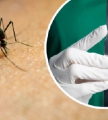 У лютому на Рівненщині зафіксували перший у цьому році випадок дирофіляріозу