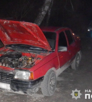 На Львівщині собака розкрив злочин