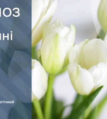 Без опадів та до +7°С: прогноз погоди по Київщині на 9 березня