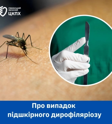 У лютому на Рівненщині зафіксували перший у цьому році випадок дирофіляріозу