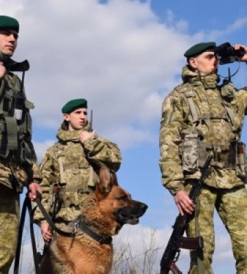 &quot;Як шпроти у банці&quot;: бус із 34 чоловіками призовного віку зупинили правоохоронці на кордоні з Румунією (ВІДЕО)