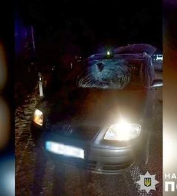 Житель з Кобеляк наїхав на 77-річного пішохода